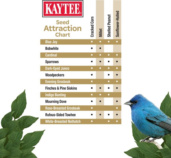 Show full view: Kaytee No Mess Blend Wild Bird Food, 10-lb bag slide 5 of 10