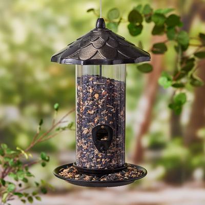 Show full view: Kaytee Nut & Fruit Blend Wild Bird Food, 10-lb bag slide 4 of 9