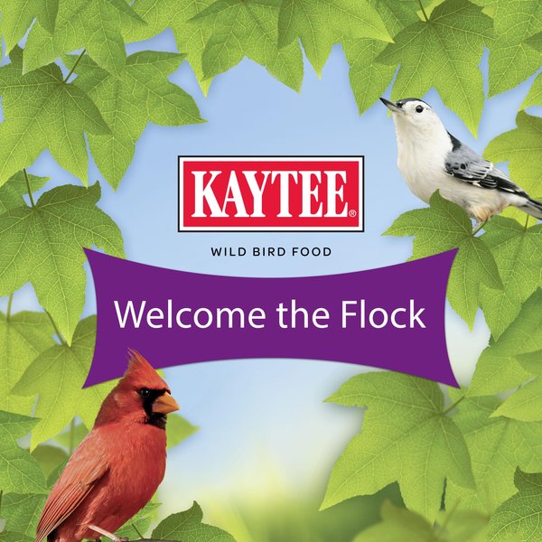 Show full view: Kaytee Nut & Fruit Blend Wild Bird Food, 20-lb bag slide 9 of 10
