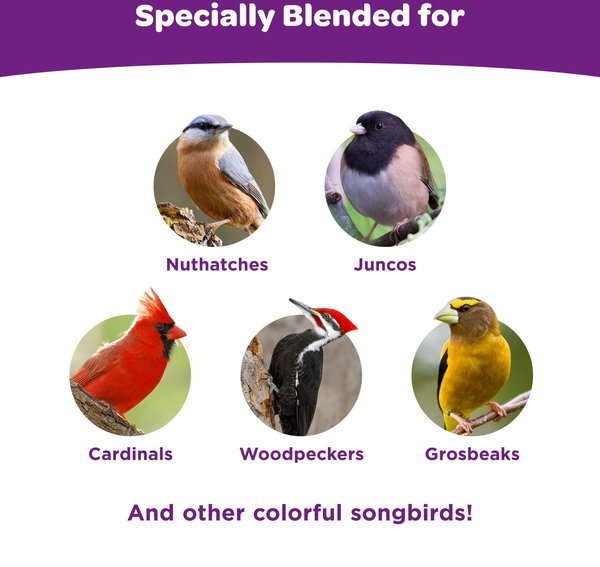 Show full view: Kaytee Nut & Fruit Blend Wild Bird Food, 20-lb bag slide 5 of 10