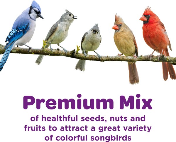 Show full view: Kaytee Nut & Fruit Blend Wild Bird Food, 20-lb bag slide 3 of 10