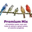 Show in main carousel: Kaytee Nut & Fruit Blend Wild Bird Food, 20-lb bag slide 3 of 10