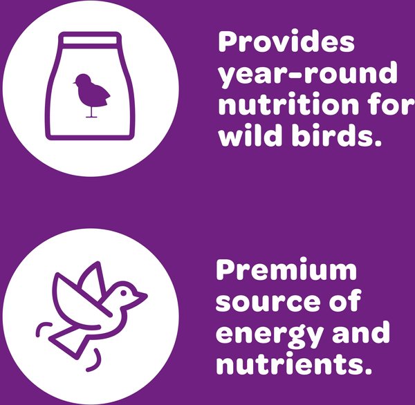 Show full view: Kaytee Nut & Fruit Blend Wild Bird Food, 20-lb bag slide 4 of 10