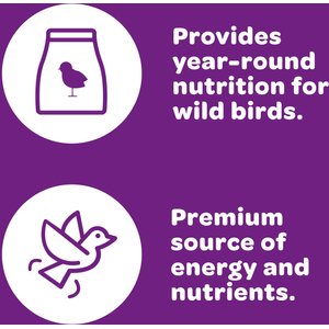 Kaytee Nut & Fruit Blend Wild Bird Food, 20-lb bag