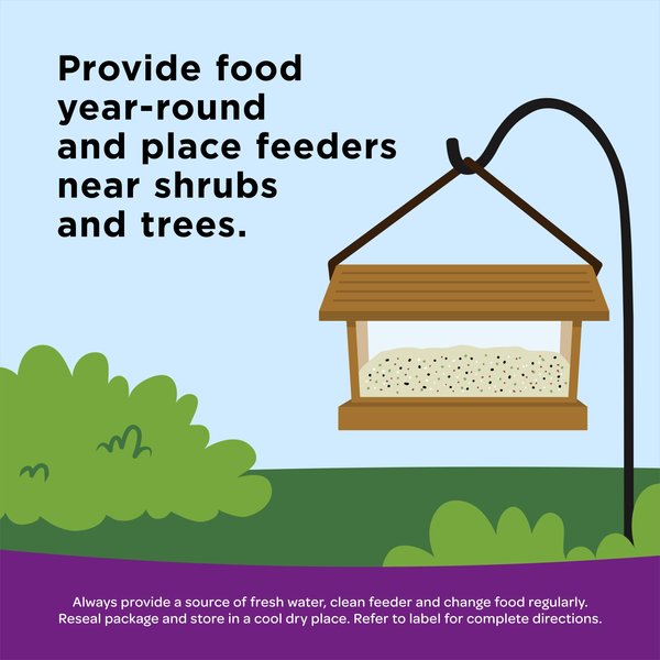 Show full view: Kaytee Nut & Fruit Blend Wild Bird Food, 20-lb bag slide 7 of 10