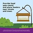 Show in main carousel: Kaytee Nut & Fruit Blend Wild Bird Food, 20-lb bag slide 7 of 10