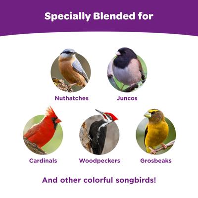 Show full view: Kaytee Nut & Fruit Blend Wild Bird Food, 5-lb bag slide 5 of 10