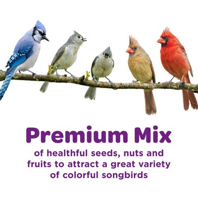 Show full view: Kaytee Nut & Fruit Blend Wild Bird Food, 5-lb bag slide 3 of 10