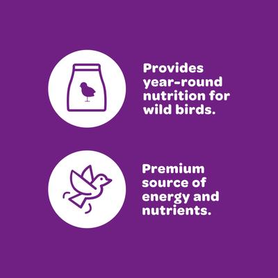 Show full view: Kaytee Nut & Fruit Blend Wild Bird Food, 5-lb bag slide 4 of 10