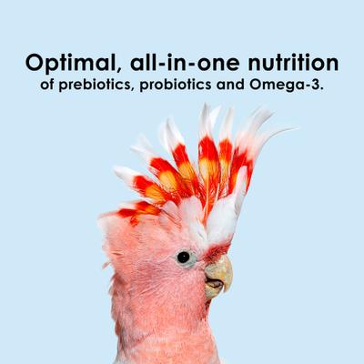 Show full view: Kaytee NutriSoft Macaw & Cockatoo Bird Food, 3-lbs slide 5 of 12