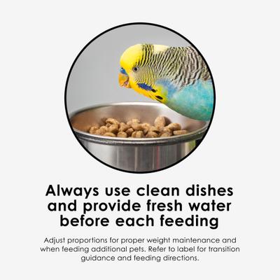 Show full view: Kaytee NutriSoft Parakeet & Cockatiel Bird Food, 2-lbs slide 6 of 12