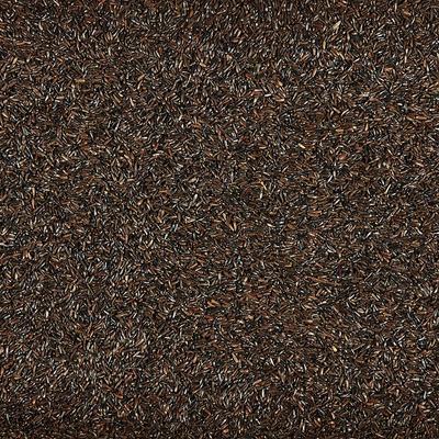 Show full view: Kaytee Nyjer Wild Bird Food, 20-lb slide 5 of 11