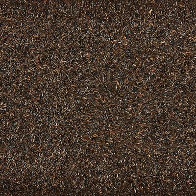 Show full view: Kaytee Nyjer Wild Bird Food, 3-lb slide 4 of 11