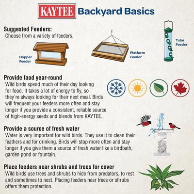 Show full view: Kaytee Nyjer Wild Bird Food, 3-lb slide 6 of 11