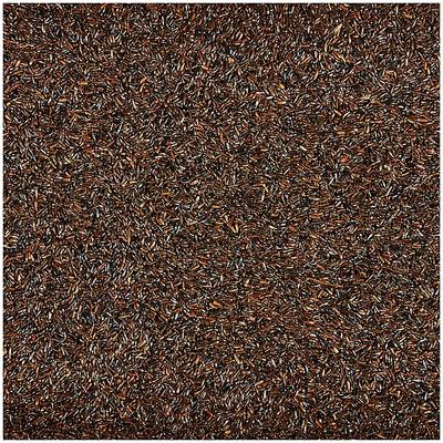 Show full view: Kaytee Nyjer Wild Bird Food, 8-lb bag slide 3 of 11