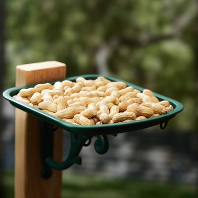 Show full view: Kaytee Peanuts In A Shell Wild Bird Food, 5-lb bag slide 4 of 10