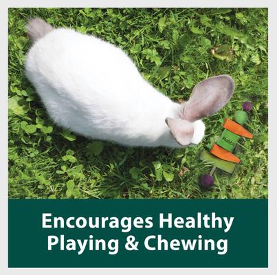 Show full view: Kaytee Perfect Chews Rabbit Toy, 6.5-in slide 5 of 10