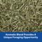 Show in main carousel: Kaytee Rose & Thyme Timothy Hay Blend Rabbit Food, 24-oz bag slide 3 of 10