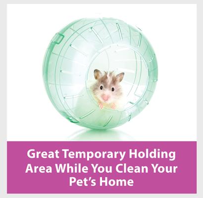 Show full view: Kaytee Run-About Small Animal Exercise Ball, 11.5-in slide 7 of 13