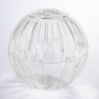 Show full view: Kaytee Run-About Small Animal Exercise Ball, 11.5-in slide 9 of 13