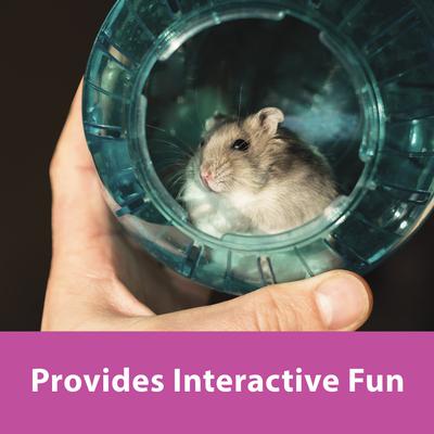 Show full view: Kaytee Run-About Small Animal Exercise Ball, 7-in, Moon Glow slide 2 of 13