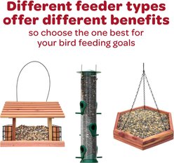 Kaytee Safflower Seed Wild Bird Food, 25-lb bag slide 2 of 9