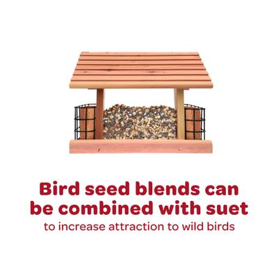 Show full view: Kaytee Safflower Seed Wild Bird Food, 25-lb bag slide 9 of 10
