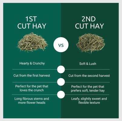 Show full view: Kaytee Second Cut Timothy Hay Small Animal Food, 6.5-lb bag slide 2 of 12