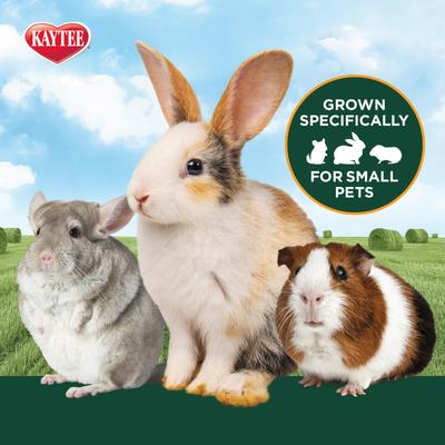 Show full view: Kaytee Second Cut Timothy Hay Small Animal Food, 6.5-lb bag slide 5 of 12