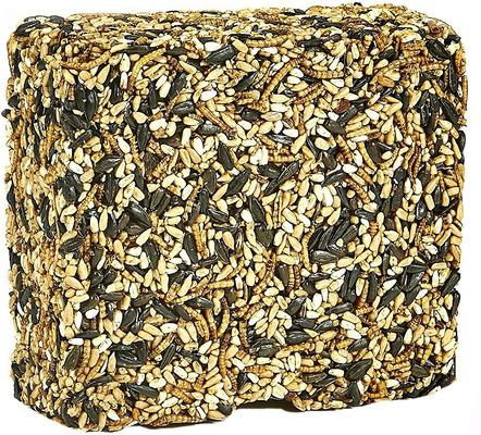 Show full view: Kaytee Seed & Mealworm Wild Bird Treat Cake, 1.4-lb slide 2 of 10