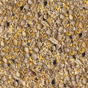 Kaytee Seed & Suet No Mess Blend Blueberry Flavor Wild Bird Food, 10-lb bag