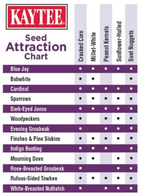 Show full view: Kaytee Seed & Suet No Mess Blend Blueberry Flavor Wild Bird Food, 10-lb bag slide 5 of 9
