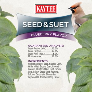 Kaytee Seed & Suet No Mess Blend Blueberry Flavor Wild Bird Food, 10-lb bag