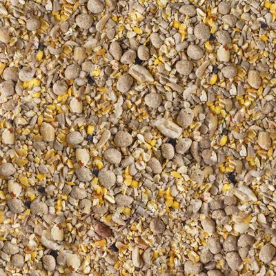Show full view: Kaytee Seed & Suet No Mess Peanut Wild Bird Food, 10-lb bag slide 4 of 8