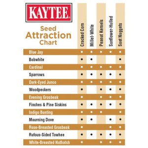 Kaytee Seed & Suet No Mess Peanut Wild Bird Food, 10-lb bag