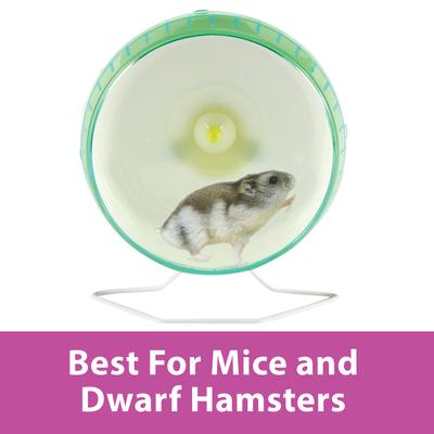 Show full view: Kaytee Silent Spinner Small Animal Exercise Wheel, Mini slide 6 of 12