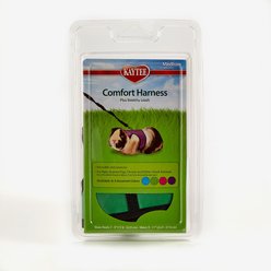 Kaytee Small Animal Harness & Stretchy Leash, Medium