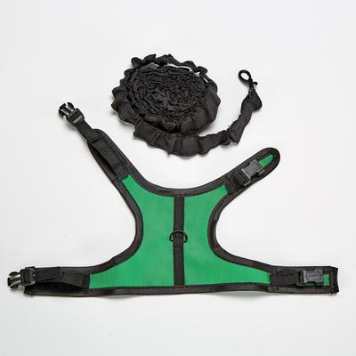 Show full view: Kaytee Small Animal Harness & Stretchy Leash, Medium slide 3 of 7