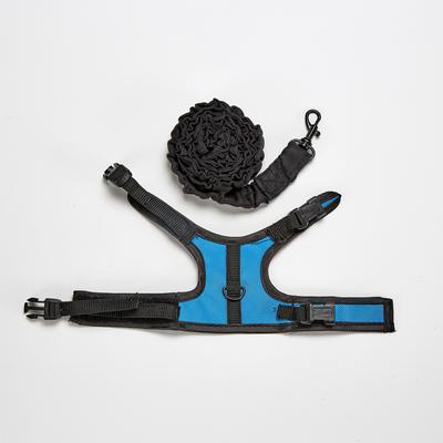 Show full view: Kaytee Small Animal Harness & Stretchy Leash, Small, Color Varies slide 3 of 7