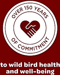 Kaytee Songbird Blend, food for wild birds, 35-lb bag slide 2 of 9