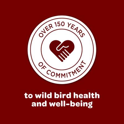 Show full view: Kaytee Songbird Blend, food for wild birds, 35-lb bag slide 9 of 11