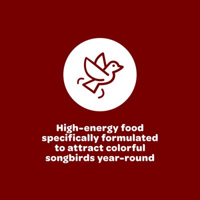 Show full view: Kaytee Songbird Blend, food for wild birds, 35-lb bag slide 4 of 11