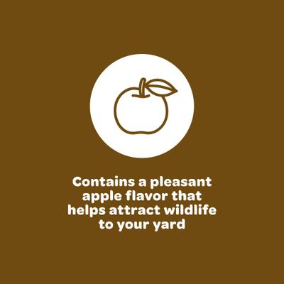 Show full view: Kaytee Squirrel & Critter Blend Wild Bird Food, 10-lb bag slide 4 of 11