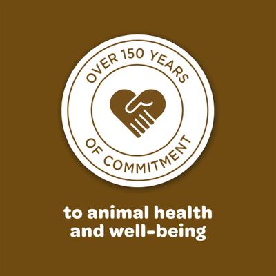 Show full view: Kaytee Squirrel & Critter Blend Wild Bird Food, 10-lb bag slide 8 of 11