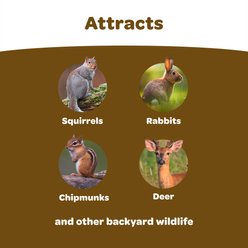 Kaytee Squirrel & Critter Blend Wild Bird Food, 20-lb bag slide 2 of 9