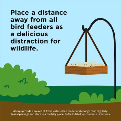 Show full view: Kaytee Squirrel & Critter Blend Wild Bird Food, 20-lb bag slide 5 of 11