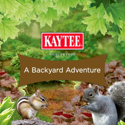 Show full view: Kaytee Squirrel & Critter Blend Wild Bird Food, 20-lb bag slide 7 of 11
