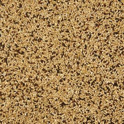 Kaytee Supreme Canary & Finch Food, 20-lb bag slide 2 of 6