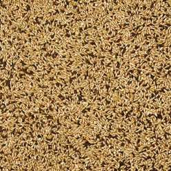 Kaytee Supreme Canary & Finch Food, 20-lb bag slide 2 of 5