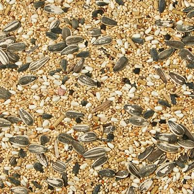 Show full view: Kaytee Supreme Cockatiel Food, 5-lb bag slide 4 of 6